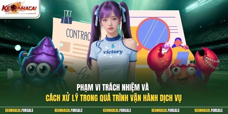 Phạm vi trách nhiệm và cách xử lý trong quá trình vận hành dịch vụ